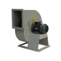 TEK EM��L� RADYAL FANLAR